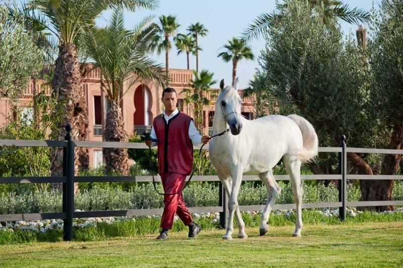 Selman Marrakech Hotel El Makina Létesítmények fotó