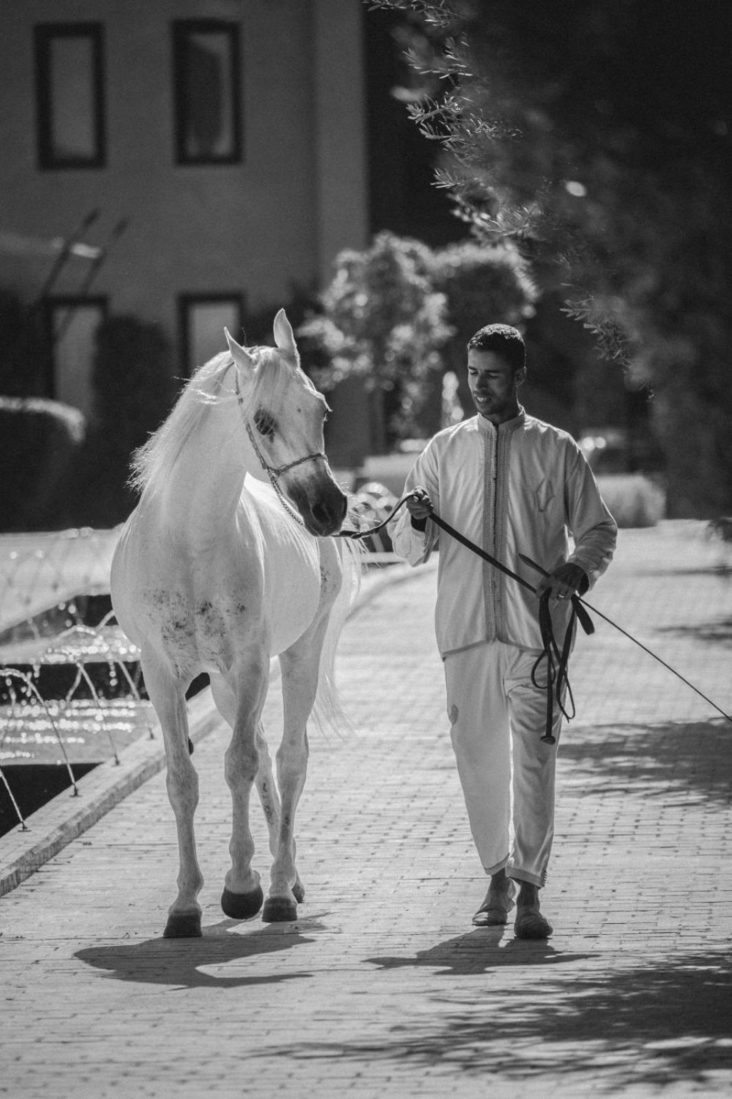 Selman Marrakech Hotel El Makina Kültér fotó