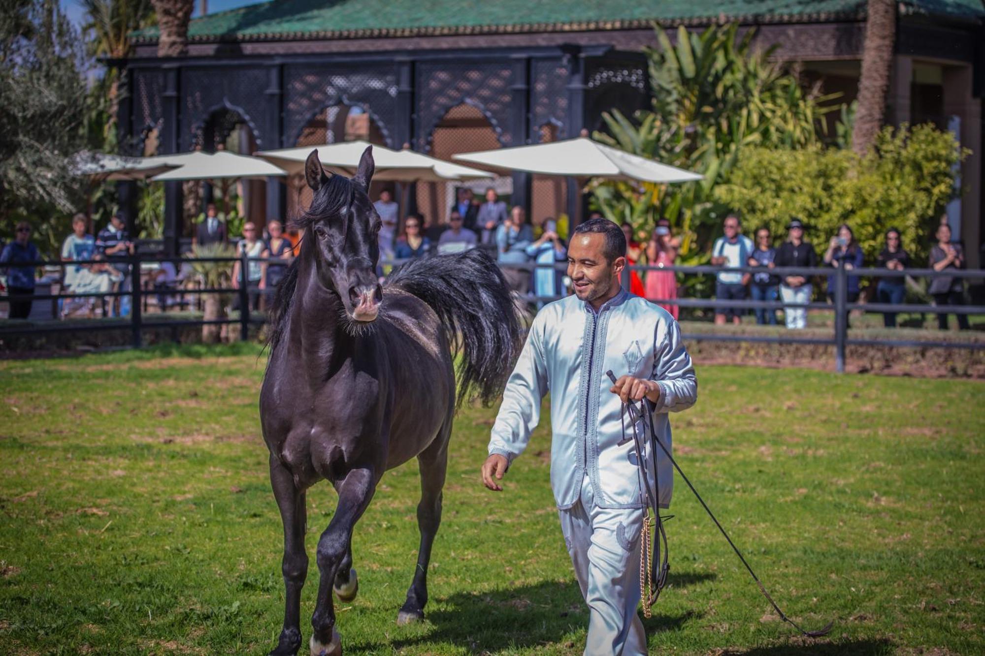 Selman Marrakech Hotel El Makina Kültér fotó